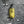 Load image into Gallery viewer, Olivette Liquid Soap